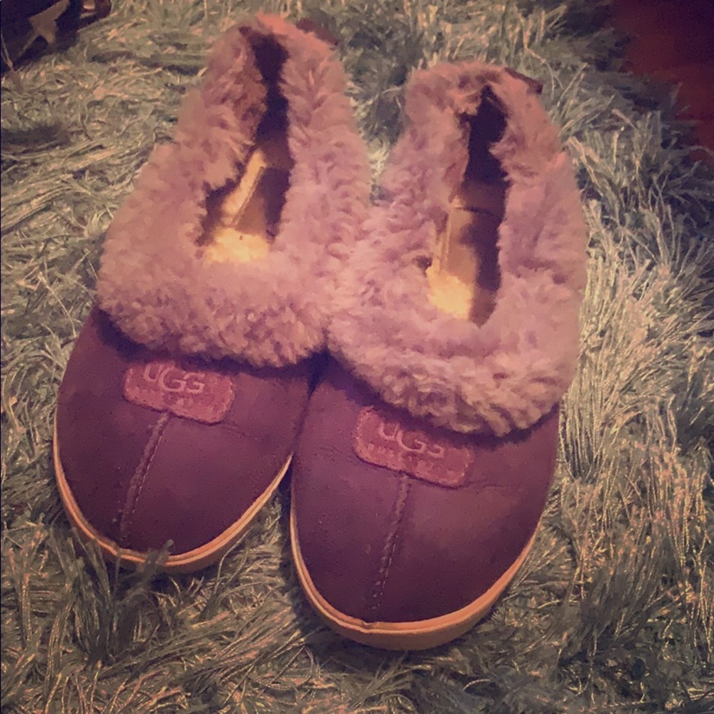 Limited edition purple ugg comfy slippers !